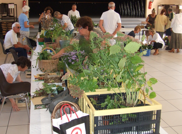 Image événement labouture