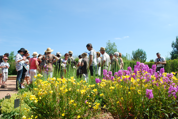 Image événement labouture