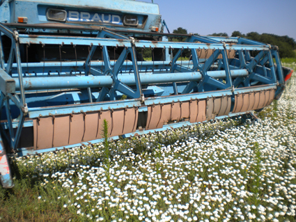 Image événement labouture