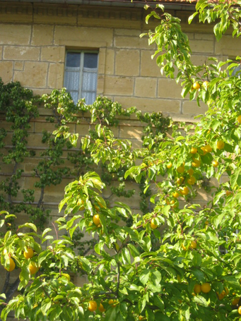 Image événement labouture