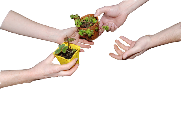 Image événement labouture