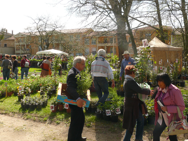 Image événement labouture