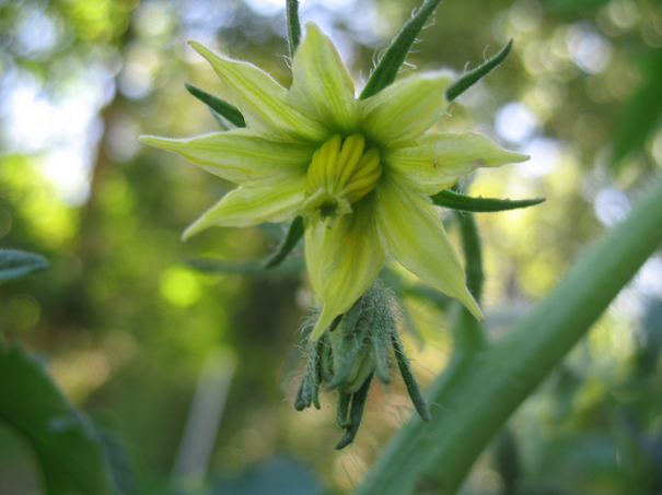 Image événement labouture
