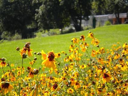 Image événement labouture