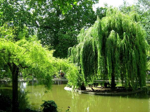 Image événement labouture