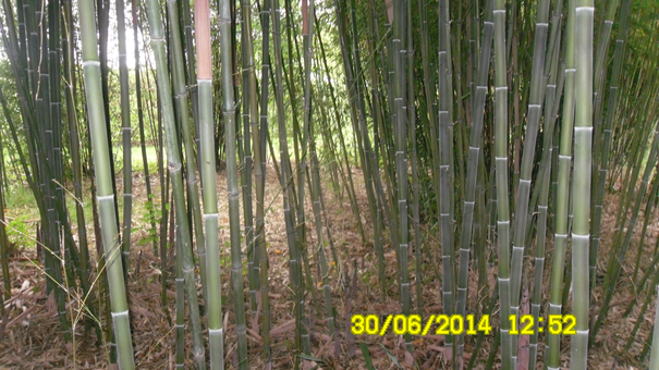 Image événement labouture