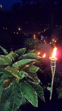 Image événement labouture