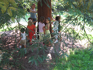 Image événement labouture