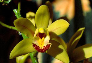 Image événement labouture