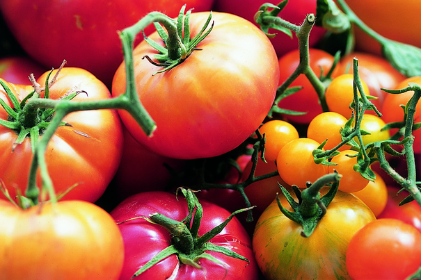 Image événement labouture