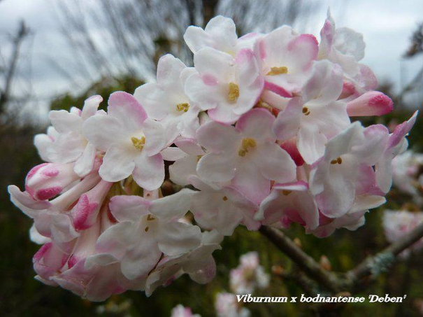 Image événement labouture