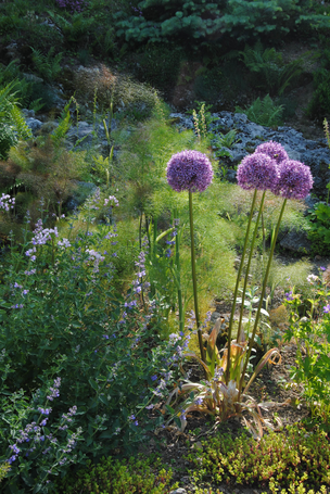 Image événement labouture