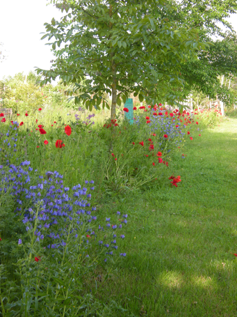 Image événement labouture