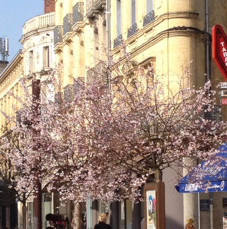 Image événement labouture