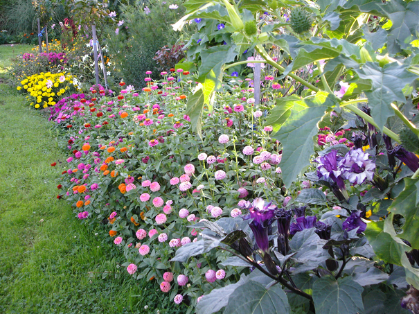 Image événement labouture