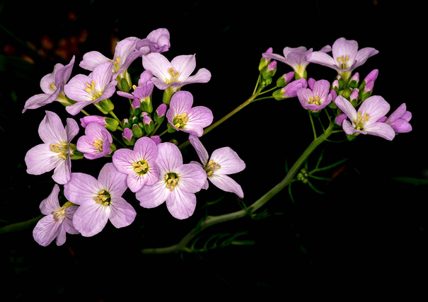 Image événement labouture