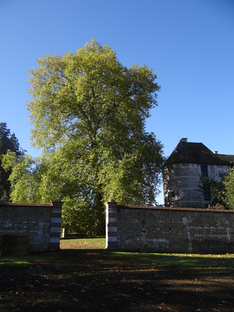 Image événement labouture