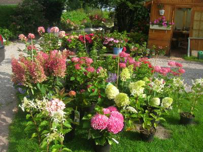 Image événement labouture