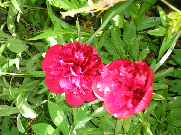 Image événement labouture