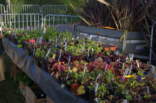 Image événement labouture