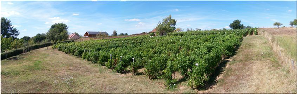 Image événement labouture