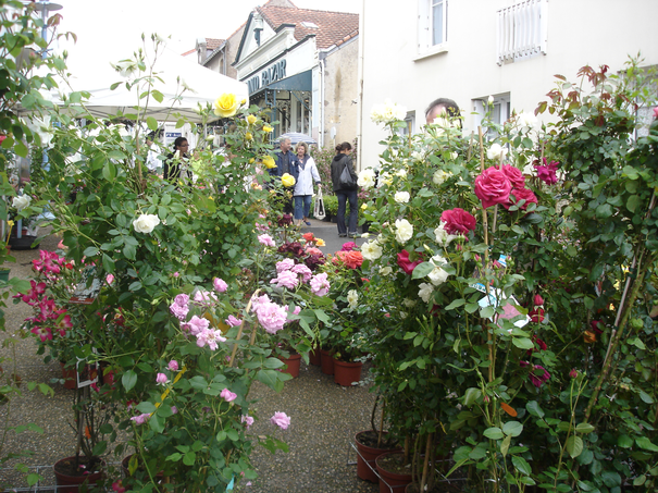 Image événement labouture