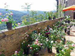 Image événement labouture