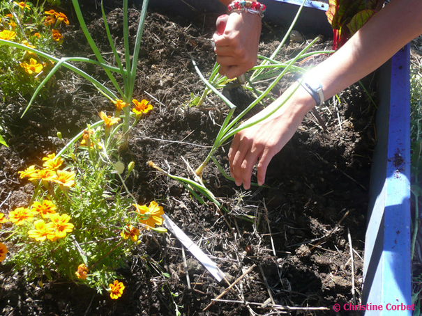 Image événement labouture