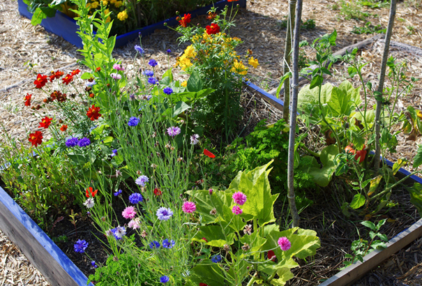 Image événement labouture