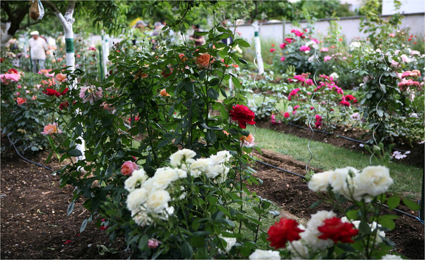 Image événement labouture