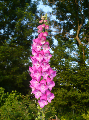 Image événement labouture