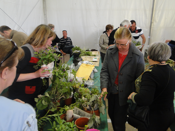 Image événement labouture