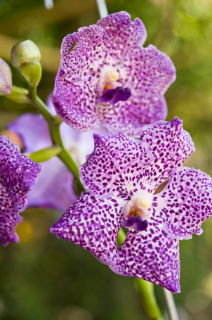 Image événement labouture