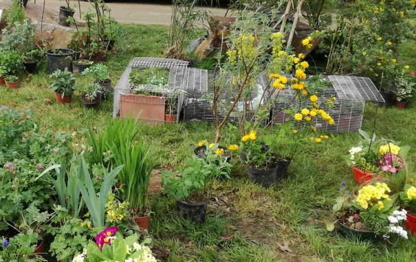 Image événement labouture