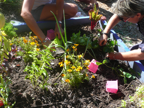 Image événement labouture