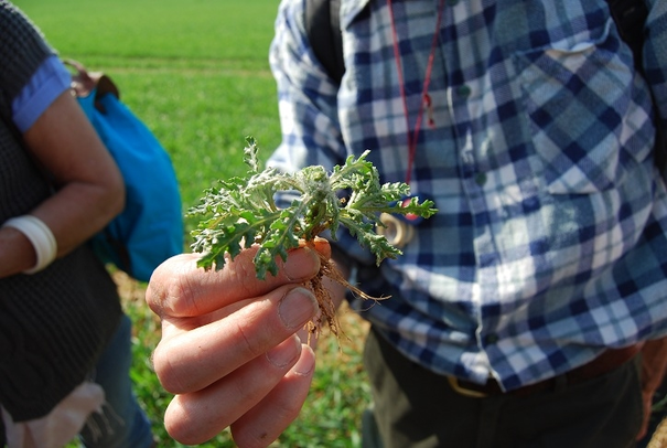 Image événement labouture