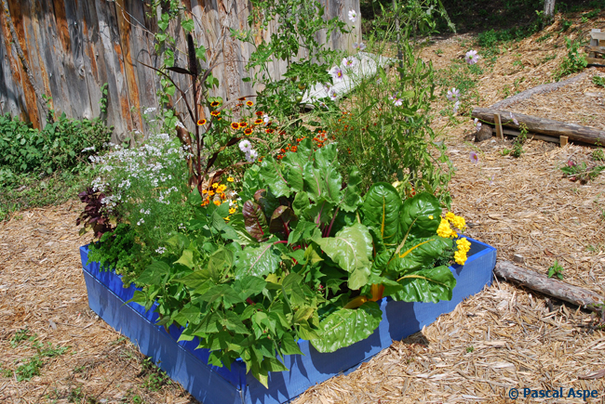 Image événement labouture