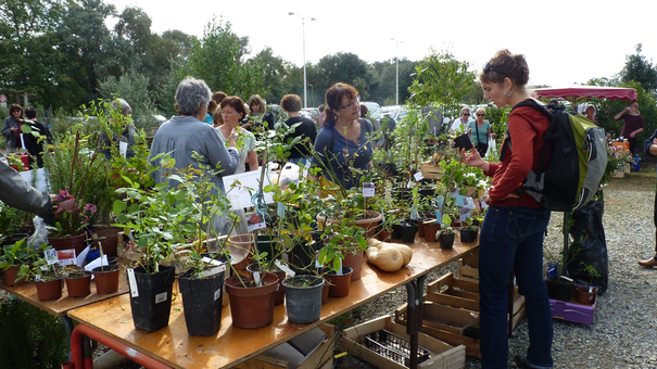 Image événement labouture