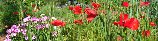 Image événement labouture