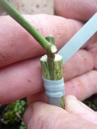 Image événement labouture