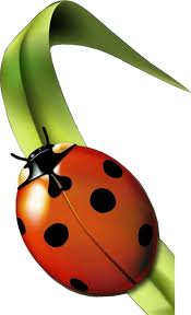 Image événement labouture