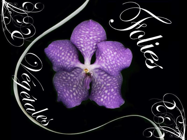 Image événement labouture