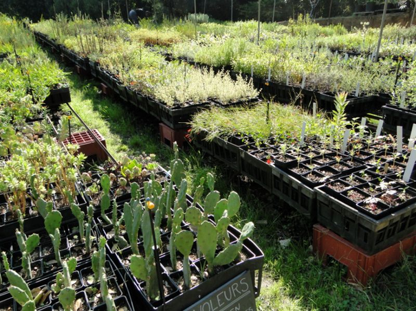 Image événement labouture