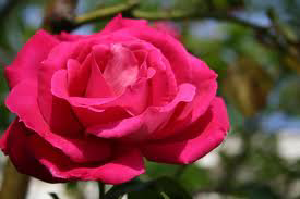 Image événement labouture