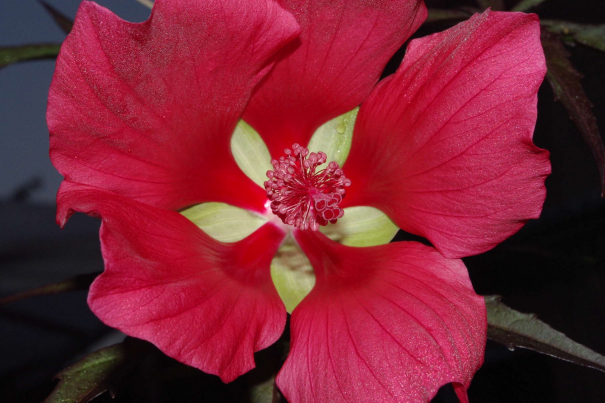 Image événement labouture