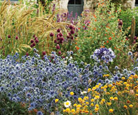 Image événement labouture