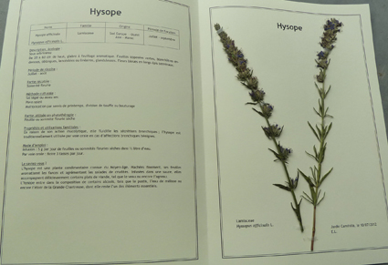 Image événement labouture