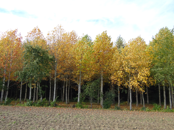 Image événement labouture