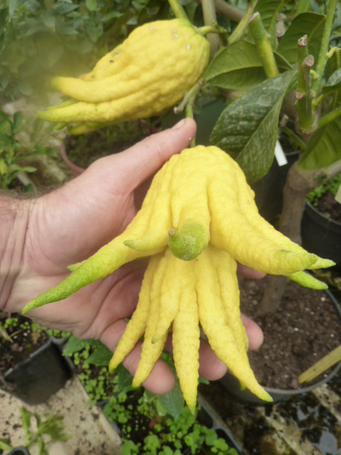 Image événement labouture