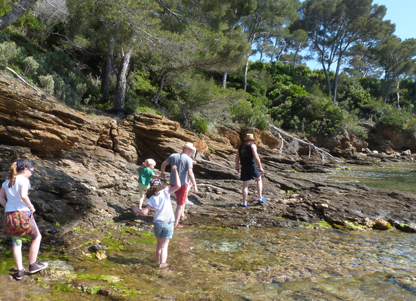 Image événement labouture